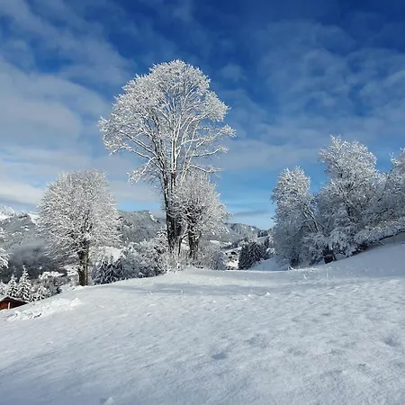 Le Grepon, Piscine Et Aire De Jeux Chalet Crest-Voland